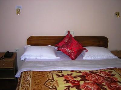 Tripvillas @ Snow Lion Homestay Dardżyling Zewnętrze zdjęcie